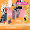 Bang 32000 | High-Capacity Disposable Vape | 32K Puffs | Mesh Coil | Real-Time LED Display