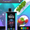 Bang 30000 PRO | Dual Pod Disposable Vape | 30K Puffs | Mesh Coil | Switchable Flavors