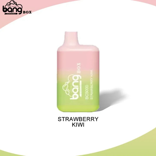 Bang BC5000 | Compact Disposable Vape | 5K Puffs | Mesh Coil Smoothness | Fast Type-C Charging