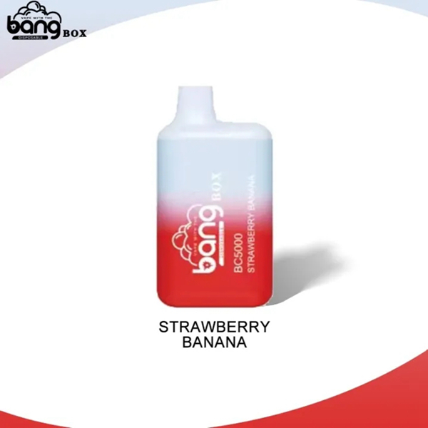 Bang BC5000 | Compact Disposable Vape | 5K Puffs | Mesh Coil Smoothness | Fast Type-C Charging