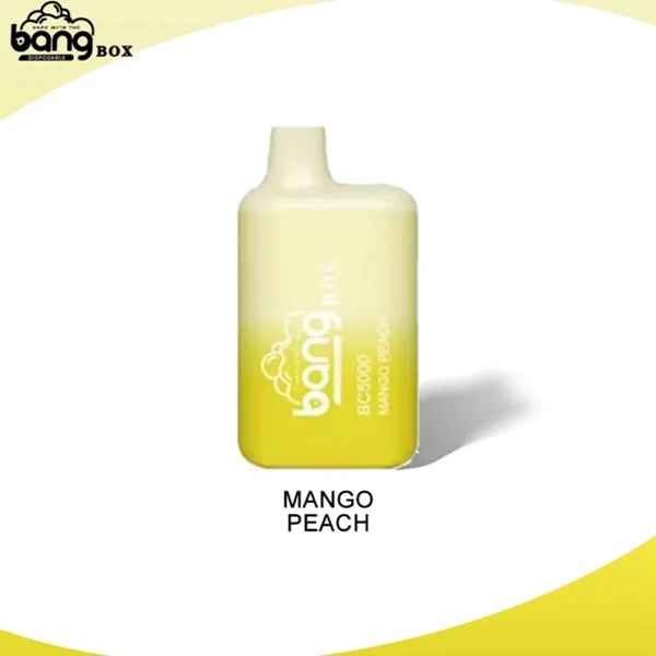 Bang BC5000 | Compact Disposable Vape | 5K Puffs | Mesh Coil Smoothness | Fast Type-C Charging