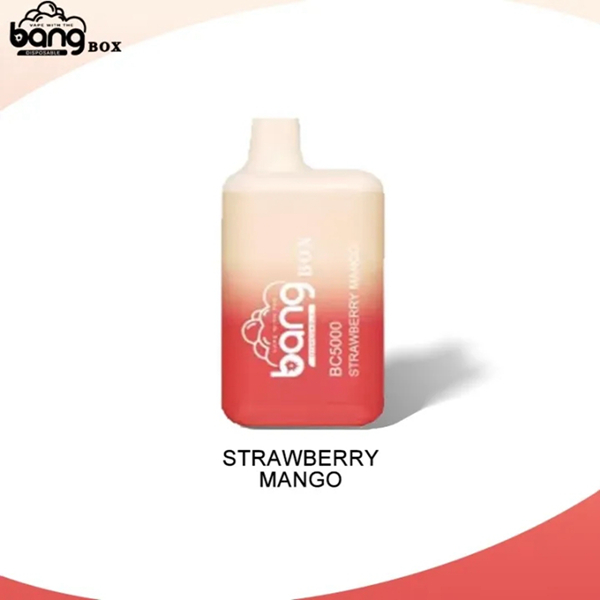 Bang BC5000 | Compact Disposable Vape | 5K Puffs | Mesh Coil Smoothness | Fast Type-C Charging