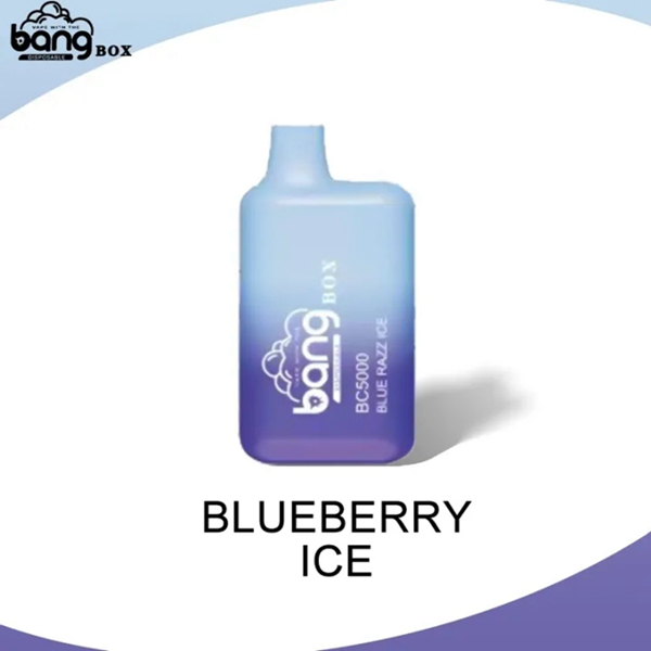 Bang BC5000 | Compact Disposable Vape | 5K Puffs | Mesh Coil Smoothness | Fast Type-C Charging