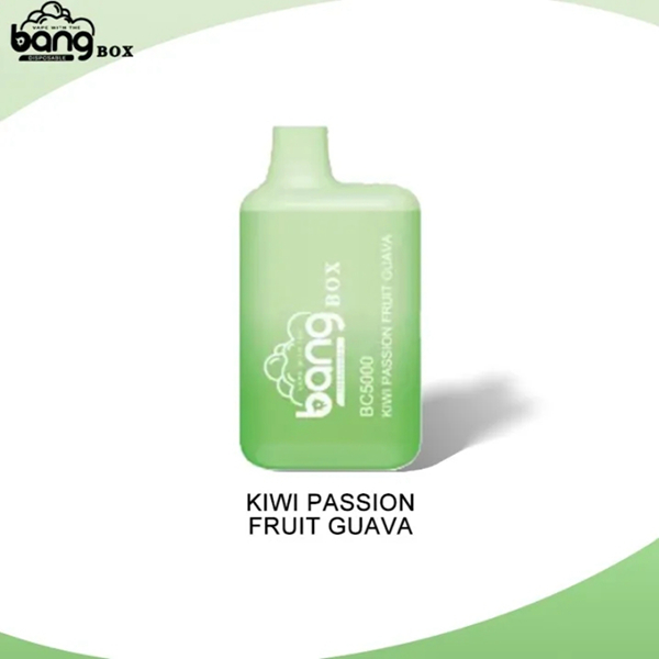 Bang BC5000 | Compact Disposable Vape | 5K Puffs | Mesh Coil Smoothness | Fast Type-C Charging
