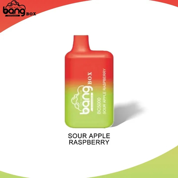 Bang BC5000 | Compact Disposable Vape | 5K Puffs | Mesh Coil Smoothness | Fast Type-C Charging