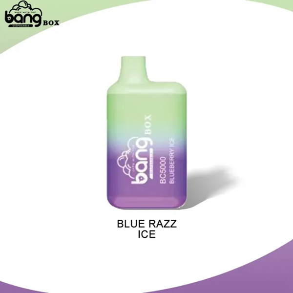 Bang BC5000 | Compact Disposable Vape | 5K Puffs | Mesh Coil Smoothness | Fast Type-C Charging