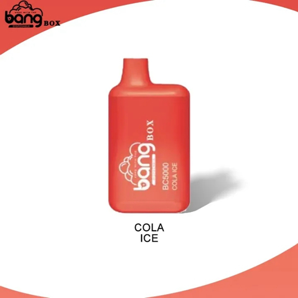 Bang BC5000 | Compact Disposable Vape | 5K Puffs | Mesh Coil Smoothness | Fast Type-C Charging