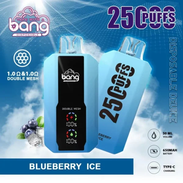 Buy Bang 25000 Disposable Vape – 25000 Puffs, 30mL Juice, Adjustable Airflow, Type-C Fast Charging