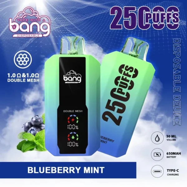 Bang 25000 | High-Capacity Disposable Vape | 25K Puffs | Mesh Coil Smoothness | Adjustable Draw Resistance