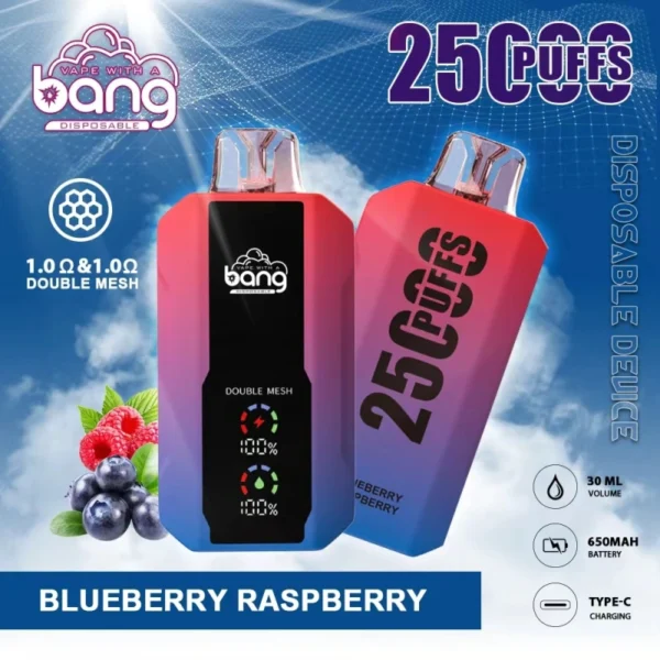 Bang 25000 | High-Capacity Disposable Vape | 25K Puffs | Mesh Coil Smoothness | Adjustable Draw Resistance