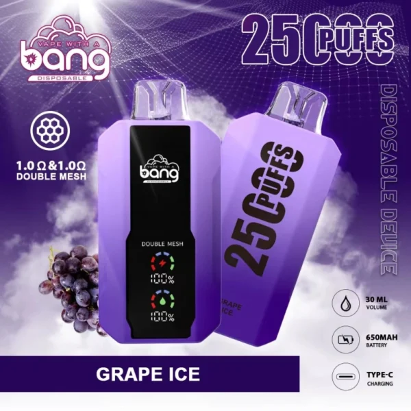Bang 25000 | High-Capacity Disposable Vape | 25K Puffs | Mesh Coil Smoothness | Adjustable Draw Resistance