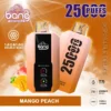 Bang 25000 | High-Capacity Disposable Vape | 25K Puffs | Mesh Coil Smoothness | Adjustable Draw Resistance
