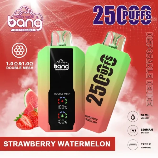 Bang 25000 | High-Capacity Disposable Vape | 25K Puffs | Mesh Coil Smoothness | Adjustable Draw Resistance
