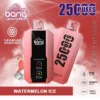 Bang 25000 | High-Capacity Disposable Vape | 25K Puffs | Mesh Coil Smoothness | Adjustable Draw Resistance