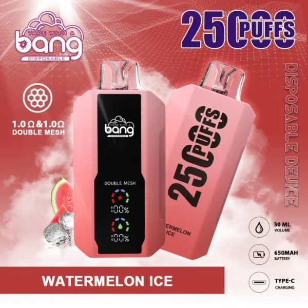 Bang 25000 | High-Capacity Disposable Vape | 25K Puffs | Mesh Coil Smoothness | Adjustable Draw Resistance