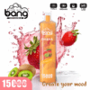 Bang SHISHA 15000 | High-Capacity Disposable Vape | 15K Puffs | Deep Lung Inhalation | Smooth Flavor