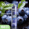 Bang SHISHA 15000 | High-Capacity Disposable Vape | 15K Puffs | Deep Lung Inhalation | Smooth Flavor