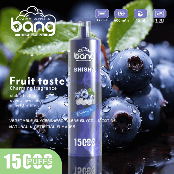 Bang SHISHA 15000 | High-Capacity Disposable Vape | 15K Puffs | Deep Lung Inhalation | Smooth Flavor