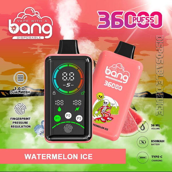 Bang 36000 Power Disposable Vape – 36000 Puffs, Fingerprint Power Control, Dual Mesh Coil, 36mL E-liquid