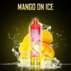 Shop RandM Tornado 15K Disposable – 25mL E-liquid | 15,000 Puffs Vape | 2%/5% Salt Nicotine | Mesh Coil Vape | Type-C Fast Charge | 850mAh Battery | Giant Clouds | Digital Screen Vape | Premium Flavors