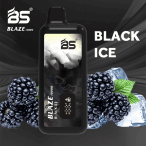 Buy BS BLAZE 10000 Disposable Vape – 10000 Puffs | Mesh Coil | 18ml | Type-C | 2% 5% Nicotine | Compact | Rechargeable | Breze Stiik
