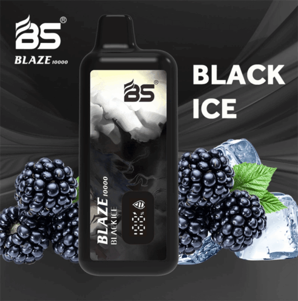 Buy BS BLAZE 10000 Disposable Vape – 10000 Puffs | Mesh Coil | 18ml | Type-C | 2% 5% Nicotine | Compact | Rechargeable | Breze Stiik
