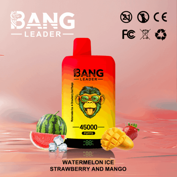 Buy Bang Leader 45k Vape | 45K Puffs | Pre-filled 60mL Dual Tank | 0%-5% Nicotine Options | 650mAh Battery | Disposable Vape Pen | 12 Flavor Selections | Type-C Fast Charging | Dual Taste Technology