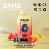 Buy Bang Leader 45k Vape | 45K Puffs | Pre-filled 60mL Dual Tank | 0%-5% Nicotine Options | 650mAh Battery | Disposable Vape Pen | 12 Flavor Selections | Type-C Fast Charging | Dual Taste Technology