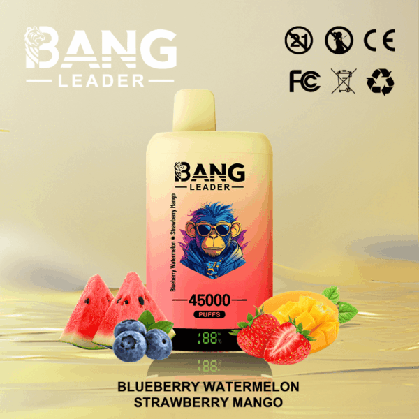 Buy Bang Leader 45k Vape | 45K Puffs | Pre-filled 60mL Dual Tank | 0%-5% Nicotine Options | 650mAh Battery | Disposable Vape Pen | 12 Flavor Selections | Type-C Fast Charging | Dual Taste Technology