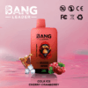 Buy Bang Leader 45k Vape | 45K Puffs | Pre-filled 60mL Dual Tank | 0%-5% Nicotine Options | 650mAh Battery | Disposable Vape Pen | 12 Flavor Selections | Type-C Fast Charging | Dual Taste Technology