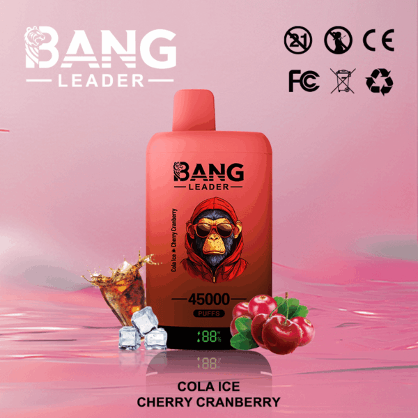 Buy Bang Leader 45k Vape | 45K Puffs | Pre-filled 60mL Dual Tank | 0%-5% Nicotine Options | 650mAh Battery | Disposable Vape Pen | 12 Flavor Selections | Type-C Fast Charging | Dual Taste Technology