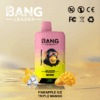 Buy Bang Leader 45k Vape | 45K Puffs | Pre-filled 60mL Dual Tank | 0%-5% Nicotine Options | 650mAh Battery | Disposable Vape Pen | 12 Flavor Selections | Type-C Fast Charging | Dual Taste Technology