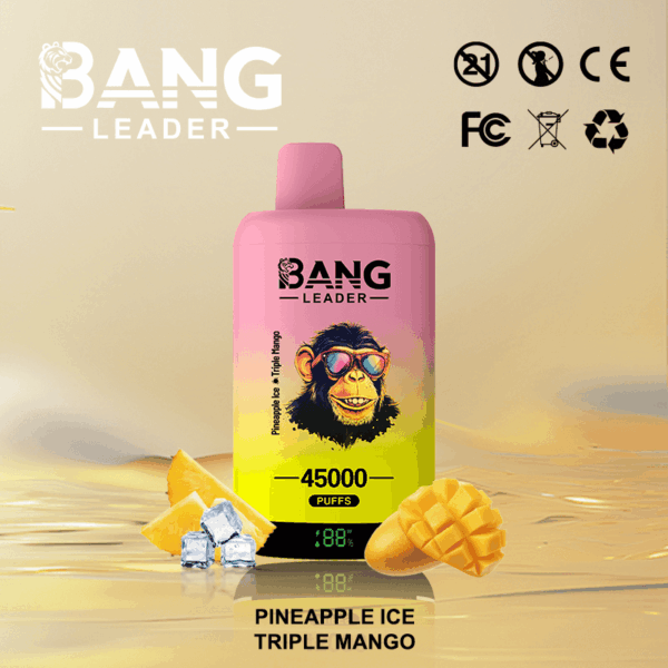 Buy Bang Leader 45k Vape | 45K Puffs | Pre-filled 60mL Dual Tank | 0%-5% Nicotine Options | 650mAh Battery | Disposable Vape Pen | 12 Flavor Selections | Type-C Fast Charging | Dual Taste Technology