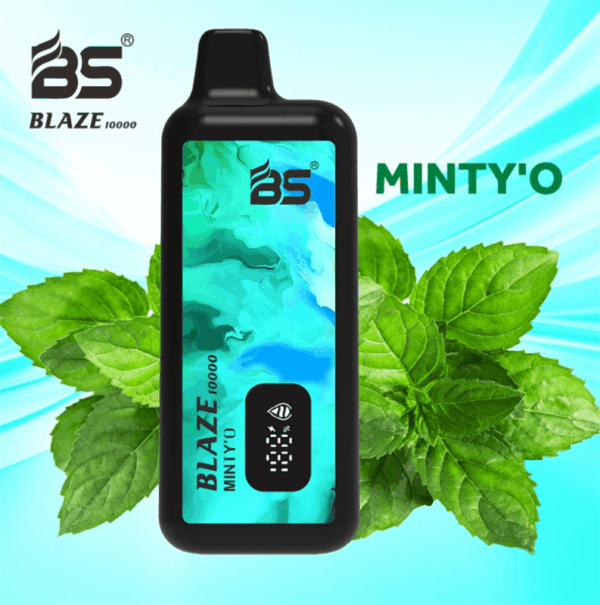 BS BLAZE 10000 | Breze Stiik Disposable Vape | 18ml E-liquid | 10000 Puffs | Mesh Coil 1.2Ω | 650mAh Battery | Type-C Charging | 2% 5% Nicotine