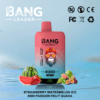 Buy Bang Leader 45k Vape | 45K Puffs | Pre-filled 60mL Dual Tank | 0%-5% Nicotine Options | 650mAh Battery | Disposable Vape Pen | 12 Flavor Selections | Type-C Fast Charging | Dual Taste Technology