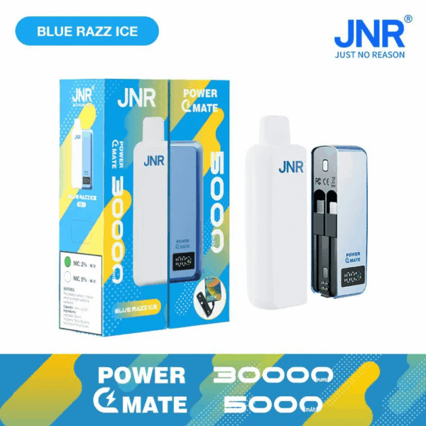 Buy JNR Power Mate 30000 Vape | 30K Puffs | 2% Nicotine | Built-in 5000mAh Power Bank | 19ml Capacity | Dual Mesh Coil | Smart Display | Type-C Charging