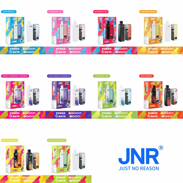 Buy JNR Power Mate 30000 Vape | 30K Puffs | 2% Nicotine | Built-in 5000mAh Power Bank | 19ml Capacity | Dual Mesh Coil | Smart Display | Type-C Charging