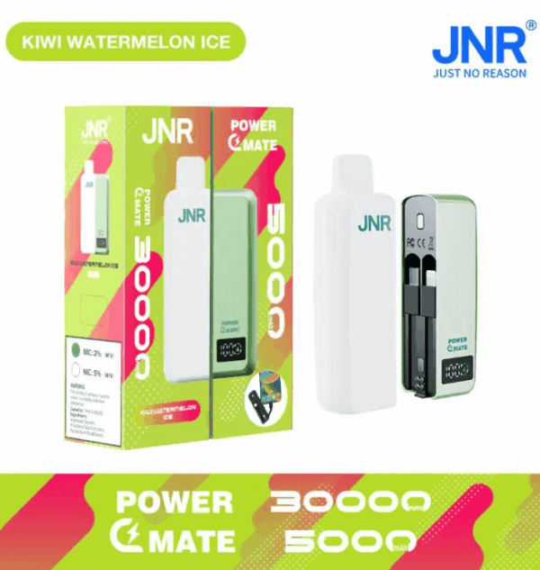 Buy JNR Power Mate 30000 Vape | 30K Puffs | 2% Nicotine | Built-in 5000mAh Power Bank | 19ml Capacity | Dual Mesh Coil | Smart Display | Type-C Charging