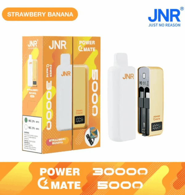 Buy JNR Power Mate 30000 Vape | 30K Puffs | 2% Nicotine | Built-in 5000mAh Power Bank | 19ml Capacity | Dual Mesh Coil | Smart Display | Type-C Charging
