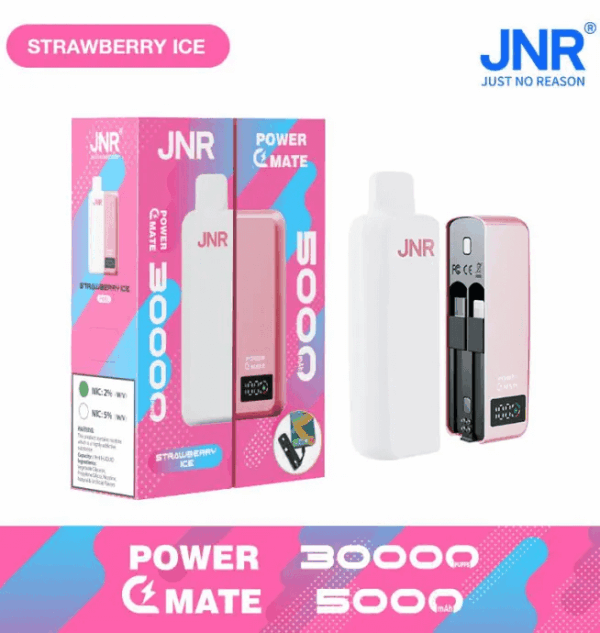 Buy JNR Power Mate 30000 Vape | 30K Puffs | 2% Nicotine | Built-in 5000mAh Power Bank | 19ml Capacity | Dual Mesh Coil | Smart Display | Type-C Charging
