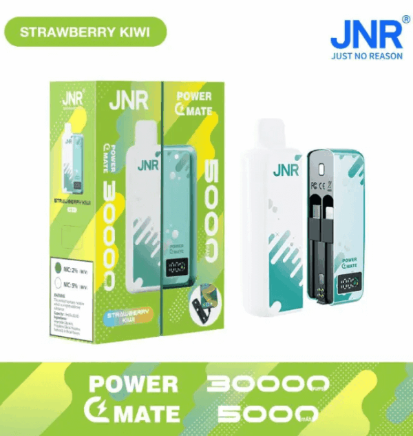 Buy JNR Power Mate 30000 Vape | 30K Puffs | 2% Nicotine | Built-in 5000mAh Power Bank | 19ml Capacity | Dual Mesh Coil | Smart Display | Type-C Charging