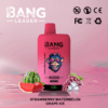 Buy Bang Leader 45k Vape | 45K Puffs | Pre-filled 60mL Dual Tank | 0%-5% Nicotine Options | 650mAh Battery | Disposable Vape Pen | 12 Flavor Selections | Type-C Fast Charging | Dual Taste Technology