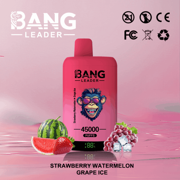 Buy Bang Leader 45k Vape | 45K Puffs | Pre-filled 60mL Dual Tank | 0%-5% Nicotine Options | 650mAh Battery | Disposable Vape Pen | 12 Flavor Selections | Type-C Fast Charging | Dual Taste Technology