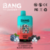 Buy Bang Leader 45k Vape | 45K Puffs | Pre-filled 60mL Dual Tank | 0%-5% Nicotine Options | 650mAh Battery | Disposable Vape Pen | 12 Flavor Selections | Type-C Fast Charging | Dual Taste Technology