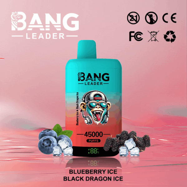 Buy Bang Leader 45k Vape | 45K Puffs | Pre-filled 60mL Dual Tank | 0%-5% Nicotine Options | 650mAh Battery | Disposable Vape Pen | 12 Flavor Selections | Type-C Fast Charging | Dual Taste Technology