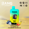 Buy Bang Leader 45k Vape | 45K Puffs | Pre-filled 60mL Dual Tank | 0%-5% Nicotine Options | 650mAh Battery | Disposable Vape Pen | 12 Flavor Selections | Type-C Fast Charging | Dual Taste Technology