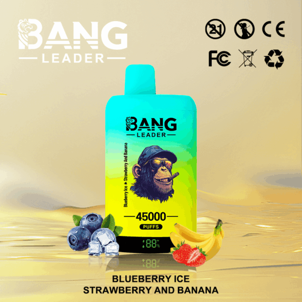 Buy Bang Leader 45k Vape | 45K Puffs | Pre-filled 60mL Dual Tank | 0%-5% Nicotine Options | 650mAh Battery | Disposable Vape Pen | 12 Flavor Selections | Type-C Fast Charging | Dual Taste Technology