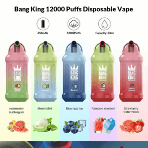 Buy Bang King 12k Vape | 12K Puffs | Pre-filled 23mL Tank | 0%-5% Nicotine Options | 850mAh Battery | Disposable Vape Pen | 20 Flavor Selections | Adjustable Airflow | Smooth Vapor Production