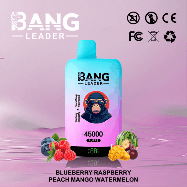 Buy Bang Leader 45k Vape | 45K Puffs | Pre-filled 60mL Dual Tank | 0%-5% Nicotine Options | 650mAh Battery | Disposable Vape Pen | 12 Flavor Selections | Type-C Fast Charging | Dual Taste Technology