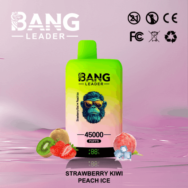 Buy Bang Leader 45k Vape | 45K Puffs | Pre-filled 60mL Dual Tank | 0%-5% Nicotine Options | 650mAh Battery | Disposable Vape Pen | 12 Flavor Selections | Type-C Fast Charging | Dual Taste Technology